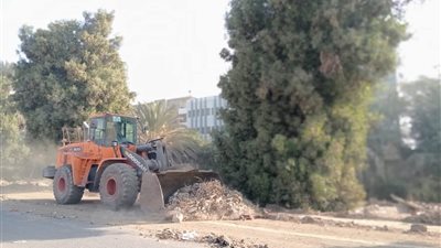 الواسطى بمحافظة بني سويف تتألق: جهود مكثفة في النظافة وتحسين الخدمات