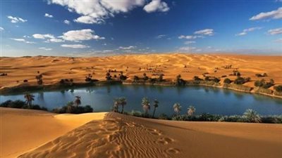 السياحة البيئية في واحات مصر.. تجربة شتوية هادئة لعشاق الطبيعة