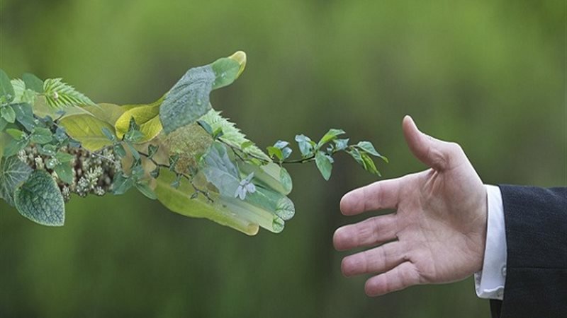 الاقتصاد الأخضر