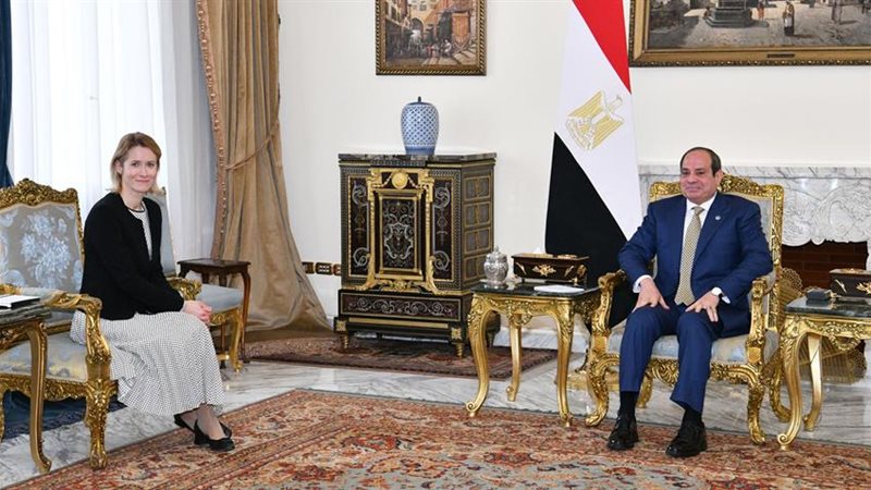 لقاء السيسي بالممثلة العليا للشؤون الخارجية للاتحاد الأوروبي
