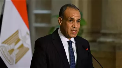 وزير الخارجية يؤكد ثوابت مصر في قضايا السيادة والاستقرار الإقليمي