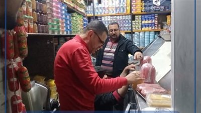 غلق وتشميع 107 منشآت مخالفة خلال حملات في الإسكندرية
