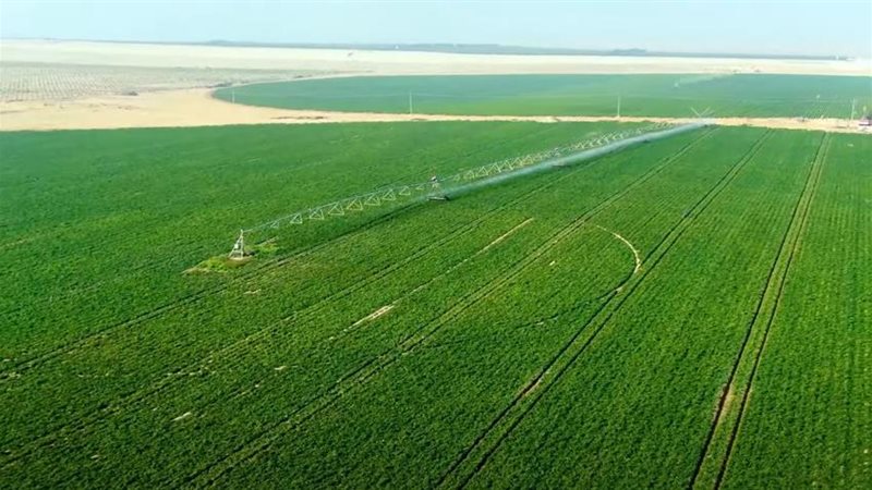 مشروع الدلتا الجديدة 