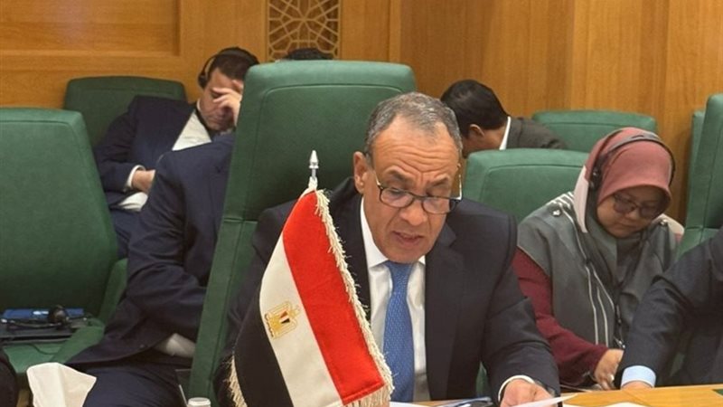 بدر عبد العاطي 