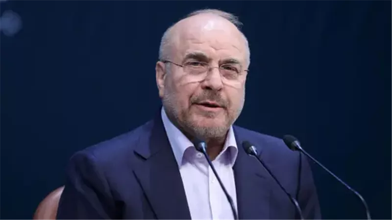 رئيس البرلمان الإيراني 