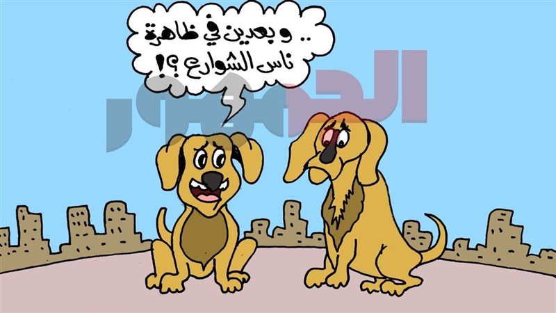 كاريكتير موقع الجمهور