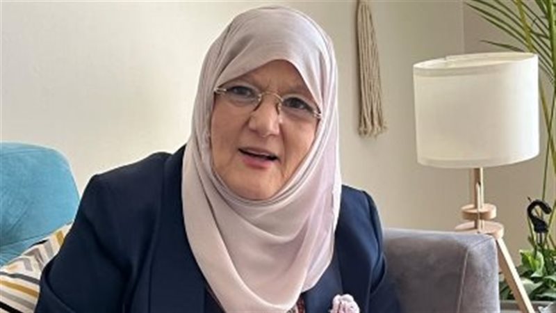 شمس البارودي