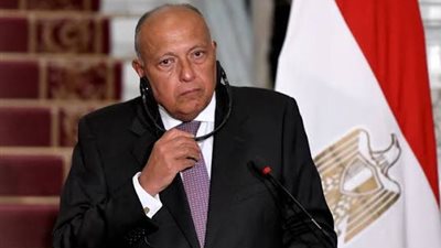 سامح شكري رئيسا للجنة الشؤون الخارجية بمجلس النواب