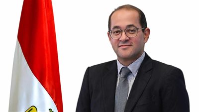 وزير المالية: نسعى لنقل التجربة المالية بكل أدواتها لدعم دول أفريقيا
