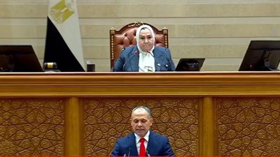 تلاوة قرارات رئيس الجمهورية والوطنية للانتخابات بالجلسة الافتتاحية لـ النواب