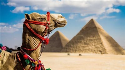 7 آلاف سنة حضارة.. القاهرة والجيزة الوجهة الأولى لعشاق السياحة الثقافية