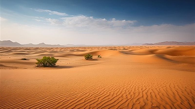  تعمير المناطق الصحراوية