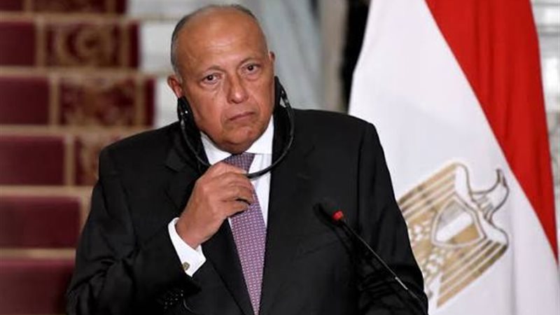 سامح شكرى