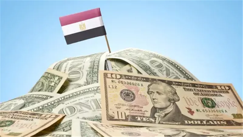 الديون 