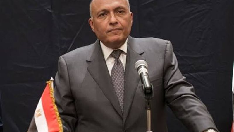 سامح شكري، وزير الخارجية السابق 