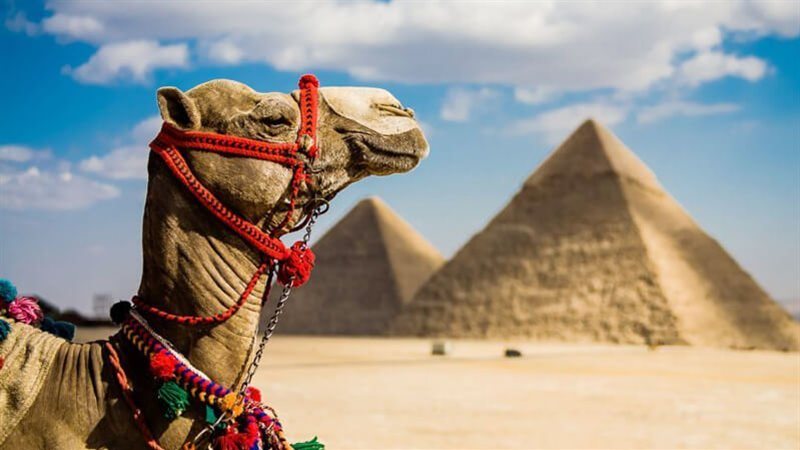 السياحة في مصر 