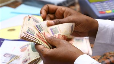 تراجع البطالة إلى 6.3% في 2025.. والإحصاء: تحسن في سوق العمل