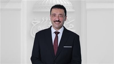 النائب محمد رزق: التنمية منظومة متكاملة تعمل على إعادة تشكيل الاقتصاد