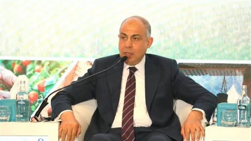  محافظ المنيا