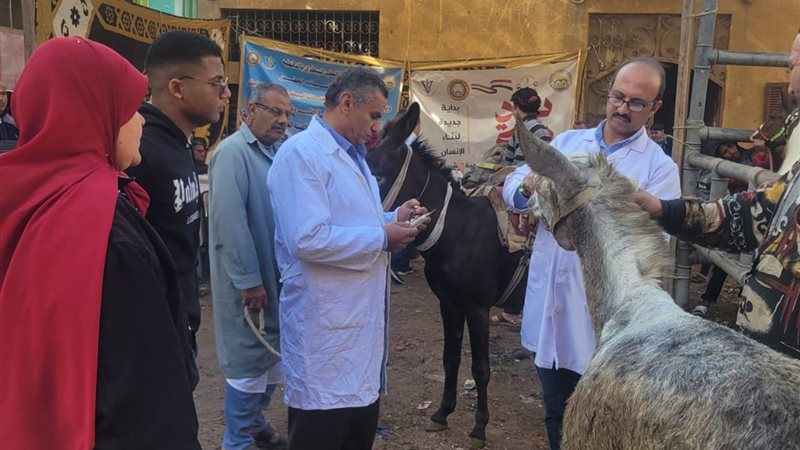 قافلة بيطريه 