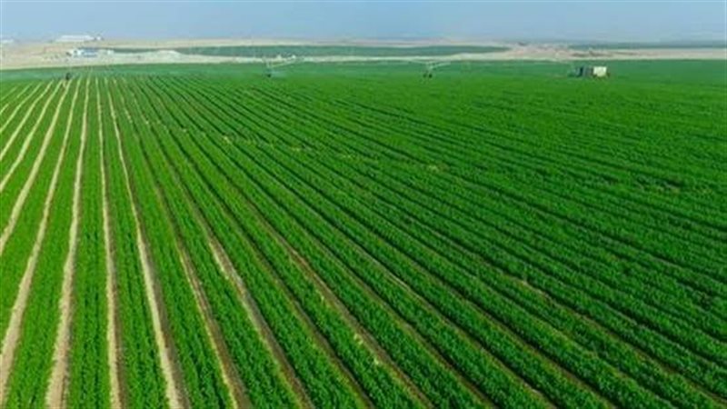 مشروع الدلتا الجديدة 