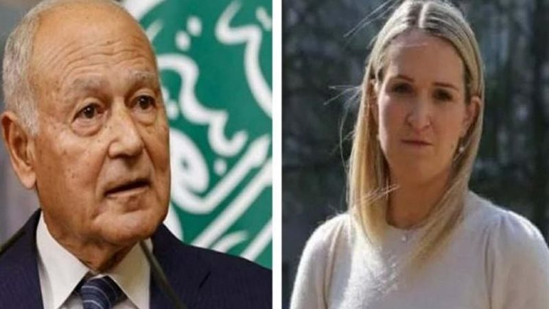 أبو الغيط ووزير الخارجية الإيرلندية