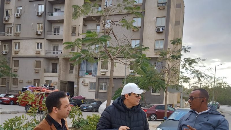 سكن مصر الإنتاج الإعلامي