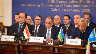 وزير الخارجية:الأزمة السودانية تستدعي تضافر الجهود الدولية والإقليمية المخلصة لوقف نزيف الدماء