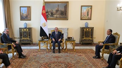ماذا دار بين الرئيس السيسي وكبير مستشاري الرئيس الأمريكي للشئون العربية والإفريقية