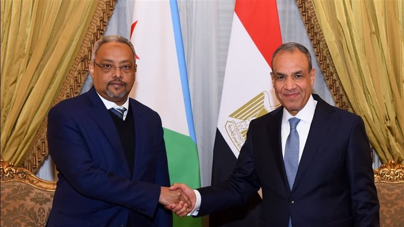 وزير الخارجية مع نظيره الجيبوتي