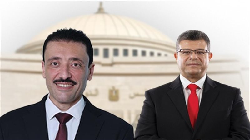 النائب محمد رزق يهنئ محمد سليمان