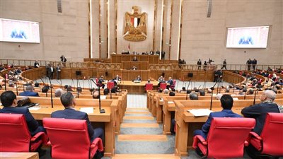 15 نائبة في مواقع قيادية باللجان النوعية..صعود لافت للمرأة تحت قبة البرلمان