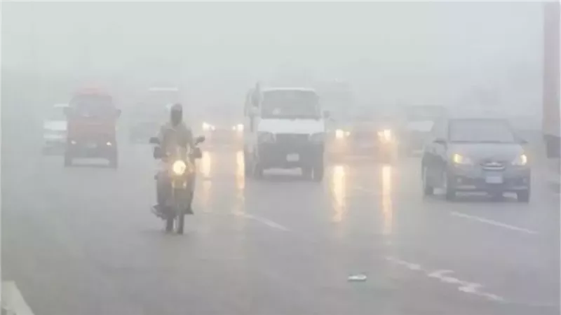 ارشيفية