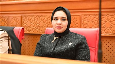نائبة برلمانية تسائل الحكومة عن تأخر التوسع في الطاقة الشمسية: أين خطة مواجهة أزمة الطاقة؟