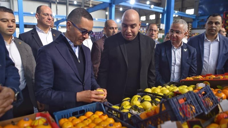  وزير الاستثمار