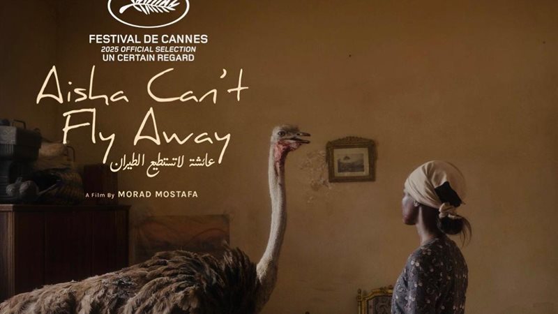 فيلم عائشة لا تستطيع الطيران