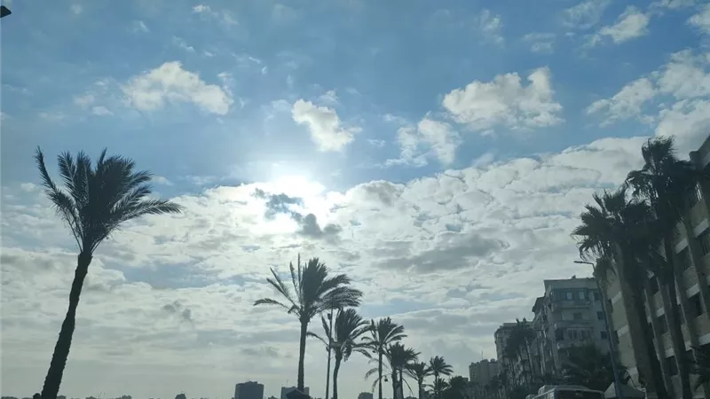 طقس بارد 