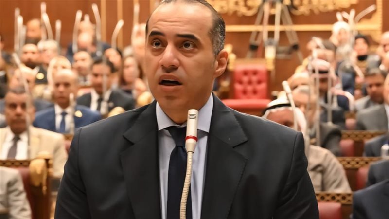 المستشار محمود فوزي 