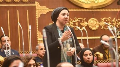 نائبة بالشيوخ تطالب بإنشاء وحدات نيابية متخصصة للتحقيق في جرائم العنف الجنسي
