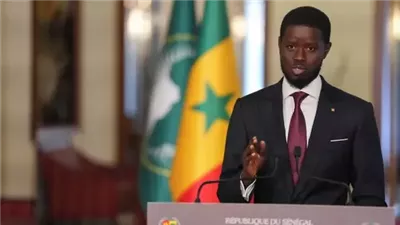 السنغال تحتفل.. اليوم عطلة رسمية بعد تتويج 