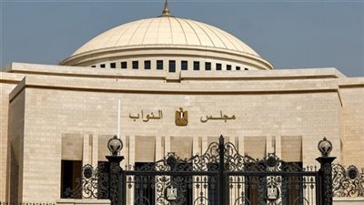 أبرزها توحيد إجراءات التأمين الصحي لمرضى زرع النخاع.. 3 أدوات برلمانية أمام «النواب»