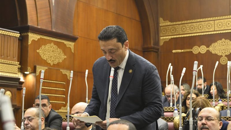 النائب محمد رزق