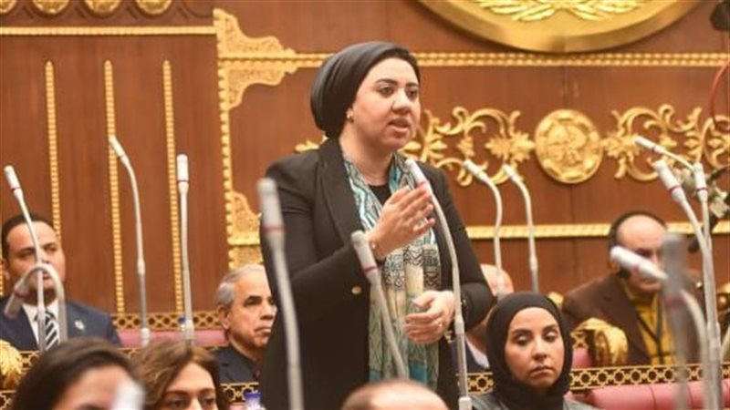 أميرة صابر 