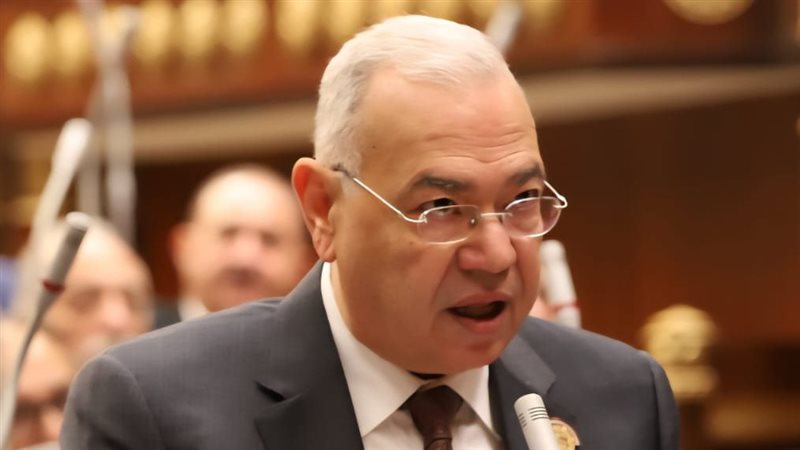 النائب الدكتور عصام خليل، رئيس حزب 