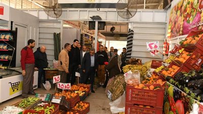 محافظ الدقهلية يوجه برفع درجة الاستعداد وتأمين 