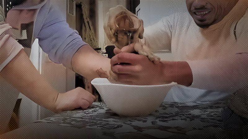 تريند الشاي