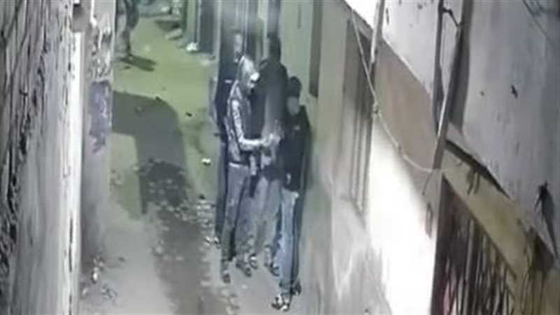 الفيديو