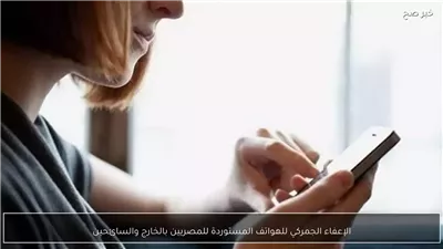 الكيلاني: قرار انتهاء الإعفاء الجمركي للموبايلات الواردة لا يهدف لزيادة الحصيلة الجمركية