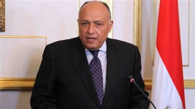 سامح شكري: الحلول السياسية السبيل لتجنيب المنطقة مزيدًا من المخاطر