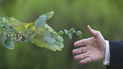 مشروعات الطاقة المتجددة.. هل تمهد الطريق لمصر نحو القيادة الإقليمية النظيفة؟